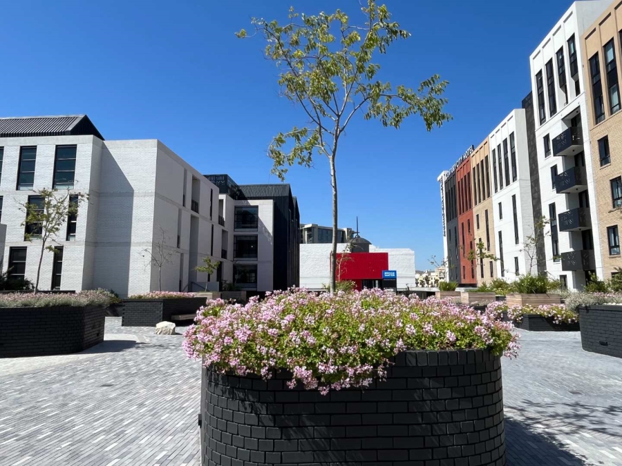 To Let commercial Property for Rent in Century City Western Cape